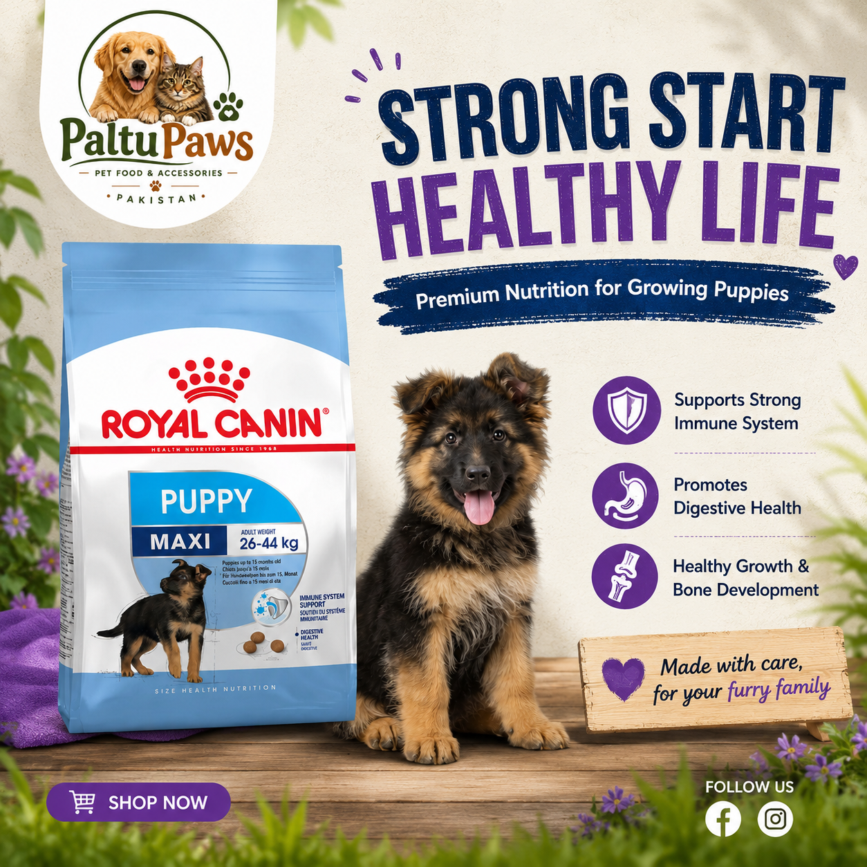 Royal Canin Maxi Puppy