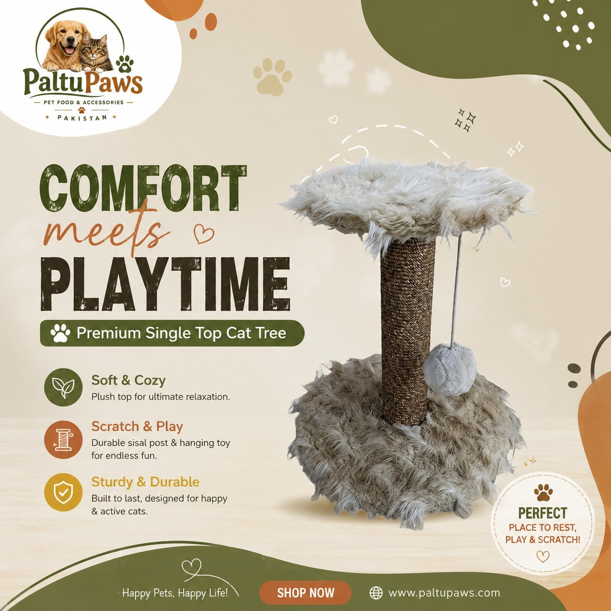 Premium Single Top Scratching Post