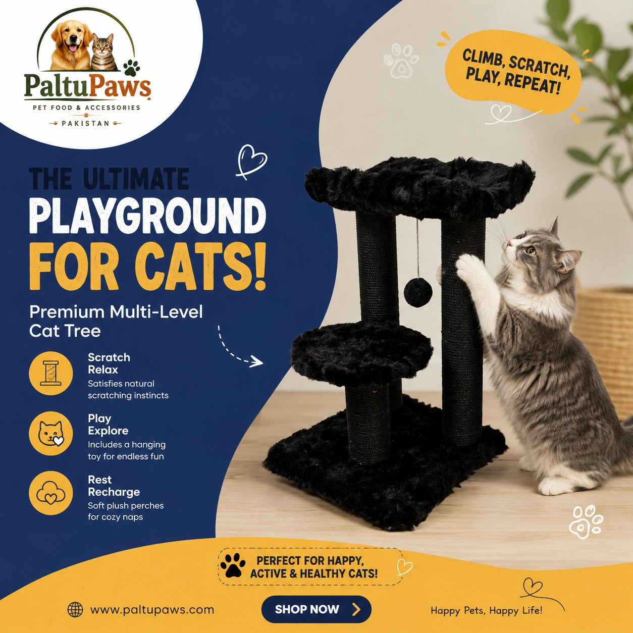 Premium Double Top with Curve Scratching Post